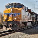 Western visitor shines in Bound Brook's late winter sun